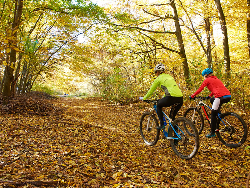 contra costa canal trail