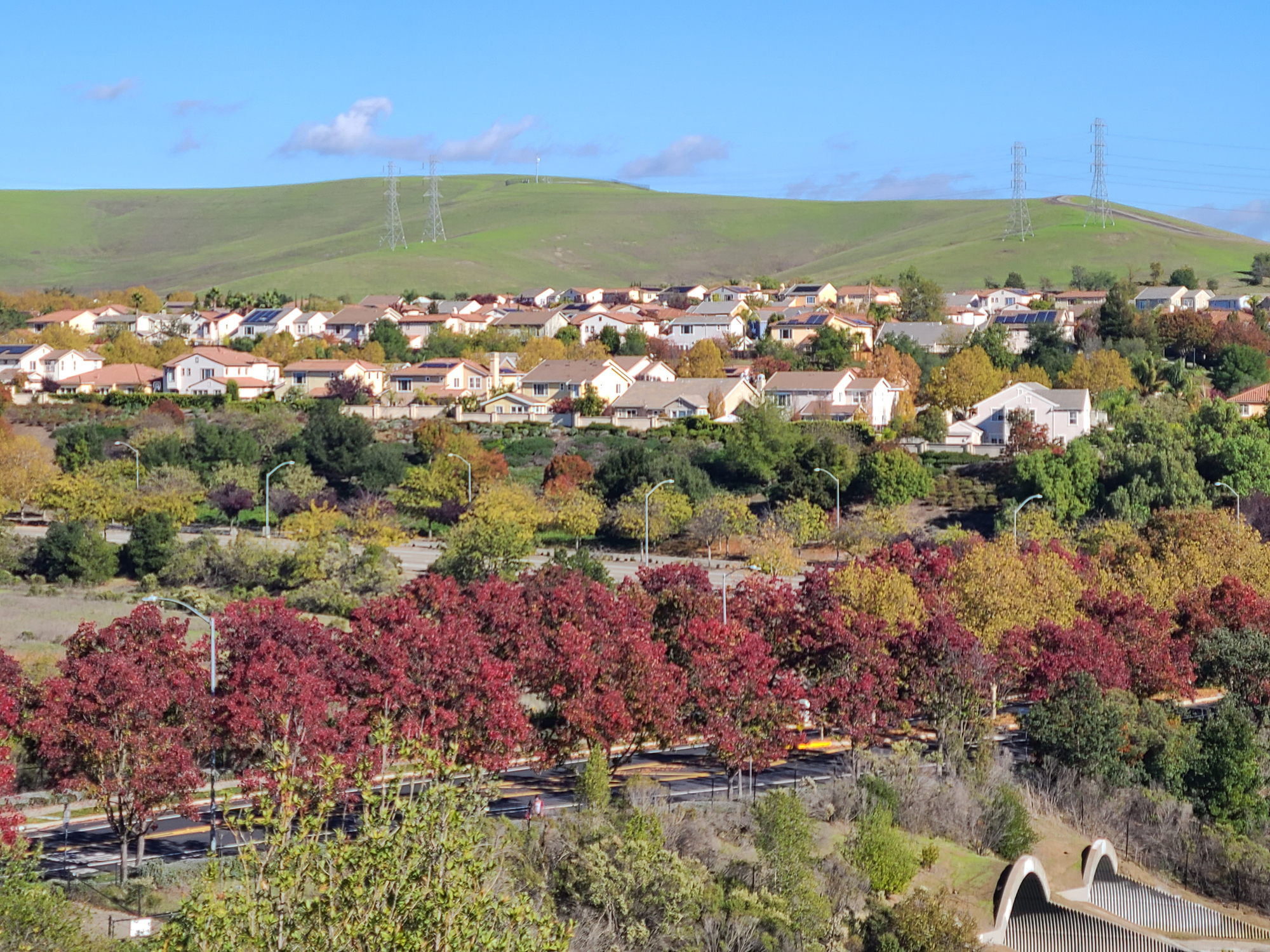 Colorful fall leaves blanket the trees along a quiet neighborhood street in San Ramon, California, creating a scenic autumn landscape