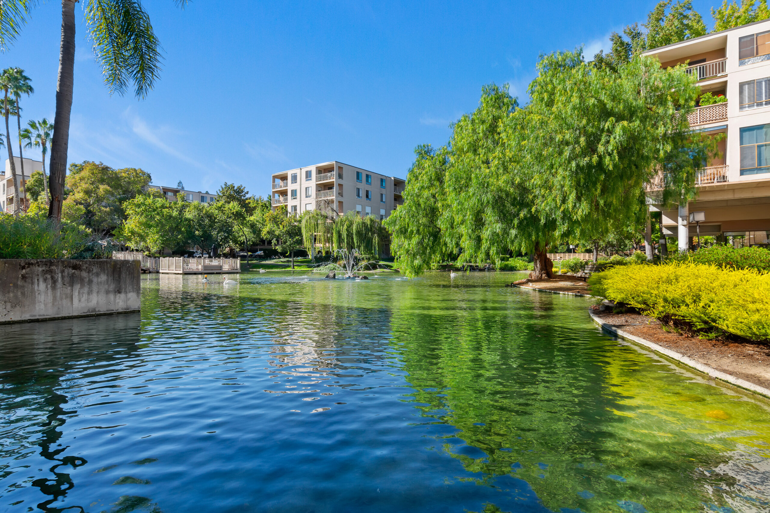 What Actually Sets Your Walnut Creek Home’s Value